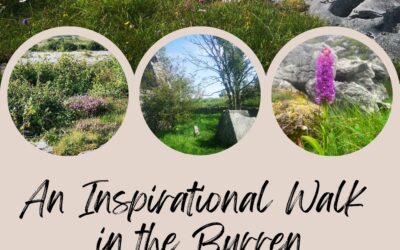 An Inspirational Walk in the Burren – 20th September, 2025